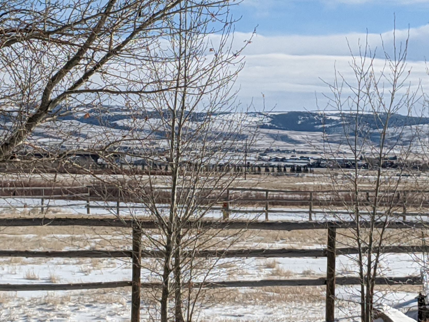 Spring snow